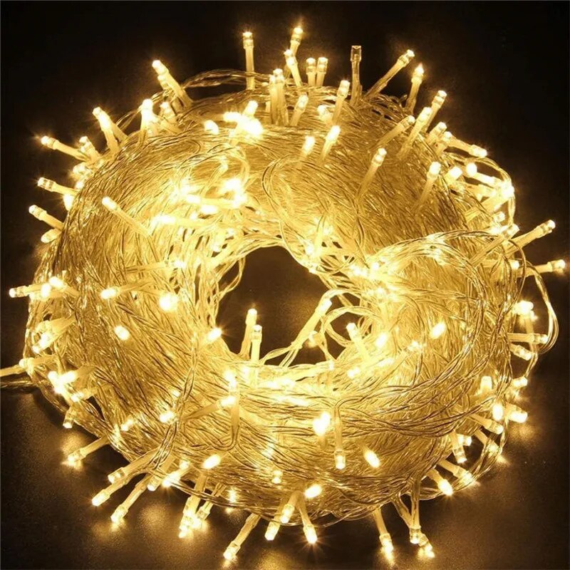 Outdoor Camping Lights String - 220V EU Plug 10M100LED Outdoor String