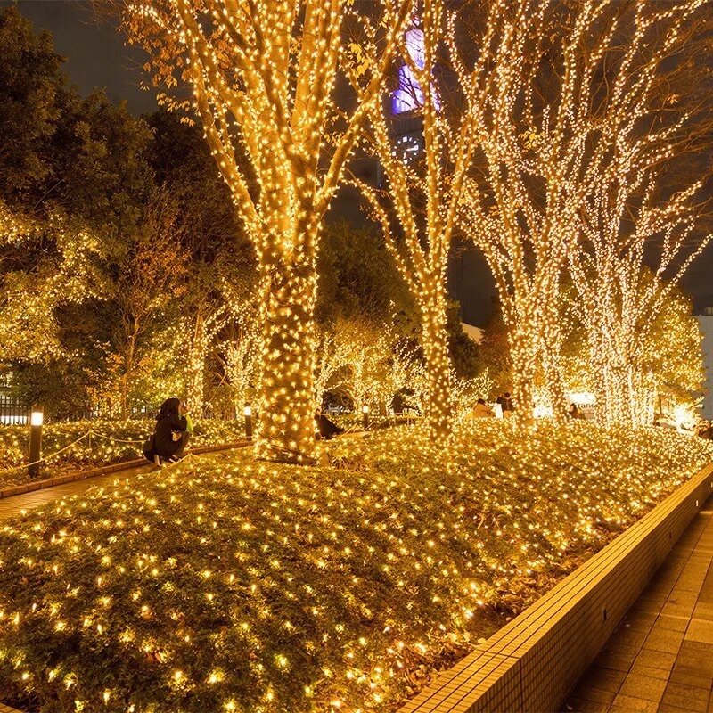 220V EU Plug 10M100LED Outdoor - Outdoor Camping Lights String 리뷰 및 가격