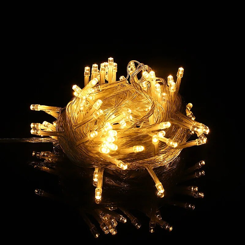 220V EU Plug 10M100LED Outdoor - Outdoor Camping Lights String 리뷰 및 가격