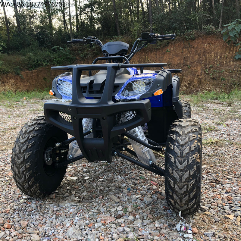 Electric 4 Seater 4WD 4-Stroke - Camping Quad 리뷰 및 가격
