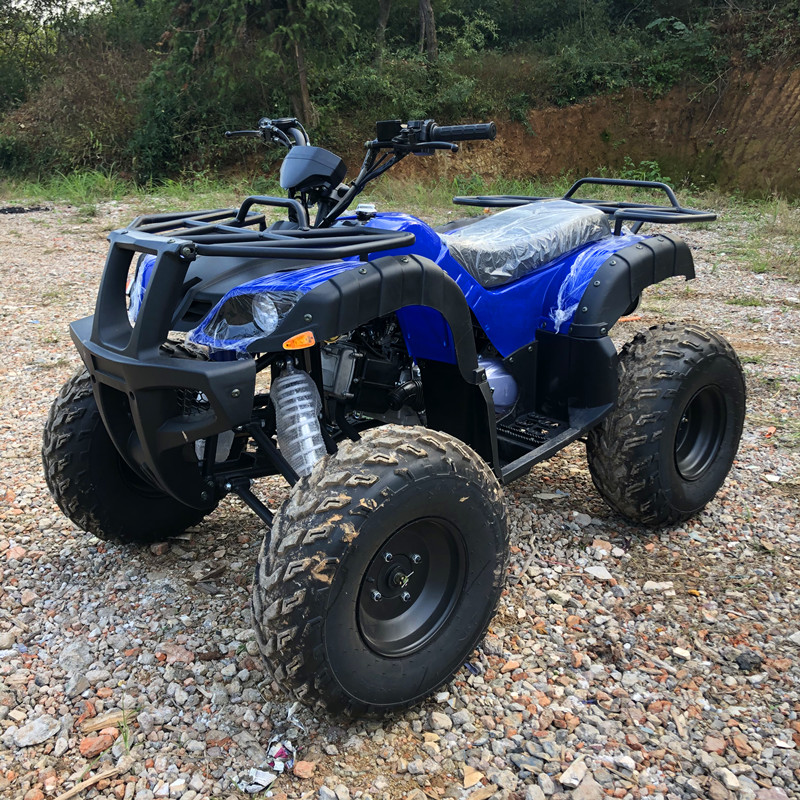 Electric 4 Seater 4WD 4-Stroke - Camping Quad 리뷰 및 가격