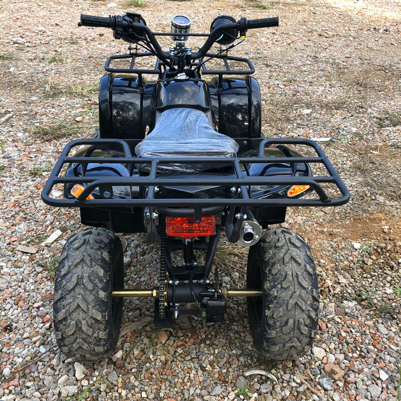 Electric 4 Seater 4WD 4-Stroke - Camping Quad 리뷰 및 가격
