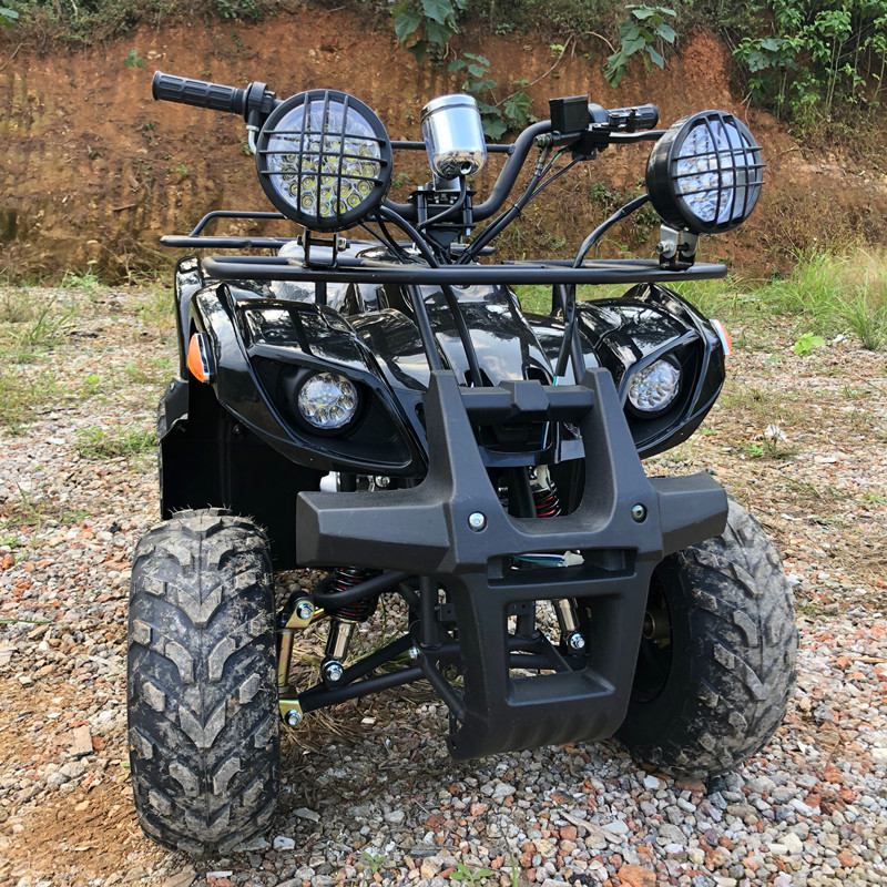 Electric 4 Seater 4WD 4-Stroke - Camping Quad 리뷰 및 가격
